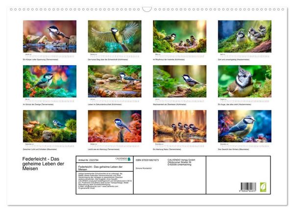 Produktbild: Federleicht - Das geheime Leben der Meisen (Wandkalender 2027 DIN A2 quer), CALVENDO Monatskalender