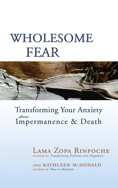 Produktbild: Wholesome Fear: Transforming Your Anxiety about Impermanence & Death