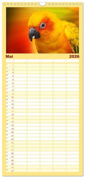 Produktbild: Familienplaner 2026 - Die bunte Welt der V&ouml;gel mit 5 Spalten (Wandkalender, 21 x 45 cm) CALVENDO