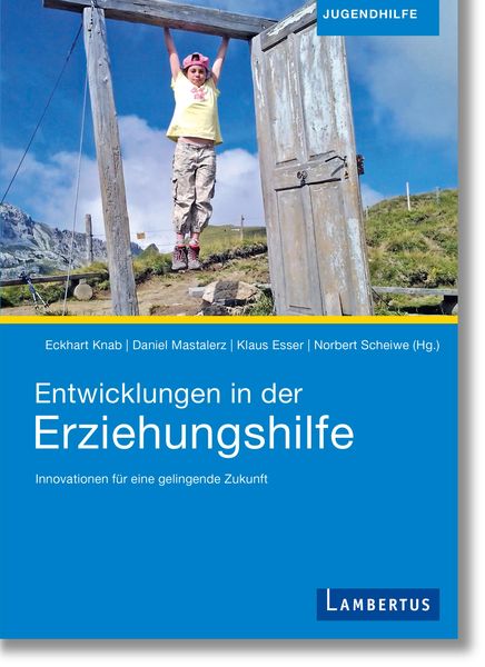 Produktbild: Entwicklungen in der Erziehungshilfe