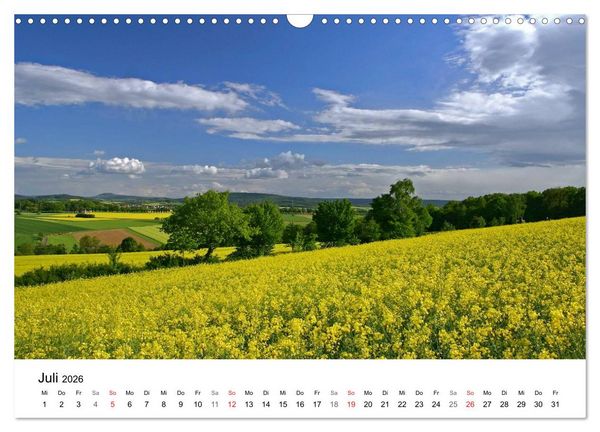 Produktbild: Rapsodie (Wandkalender 2026 DIN A3 quer), CALVENDO Monatskalender