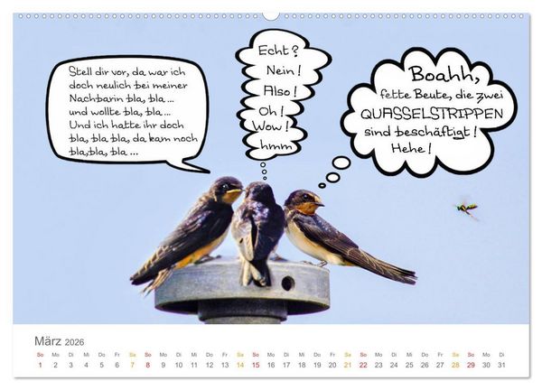 Produktbild: Wenn Schwalben reden (Wandkalender 2026 DIN A2 quer), CALVENDO Monatskalender