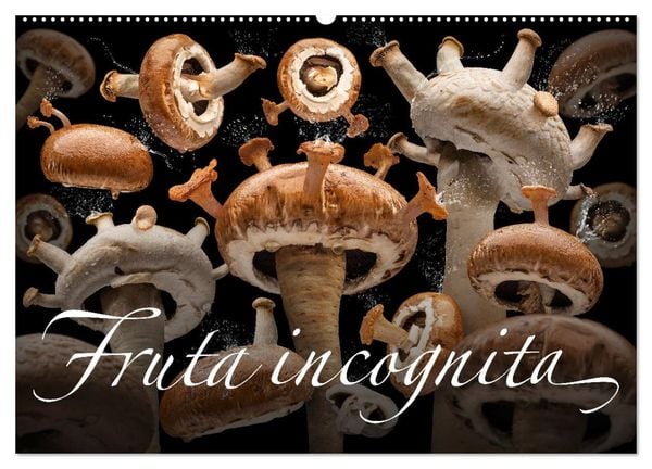 Fruta incognita - Die wundersame Welt des Fotografen Olaf Bruhn (Wandkalender 2025 DIN A2 quer), CALVENDO Monatskalender