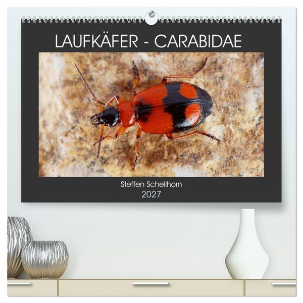 Produktbild: LAUFK&Auml;FER - CARABIDAE (hochwertiger Premium Wandkalender 2027 DIN A2 quer), Kunstdruck in Hochglanz