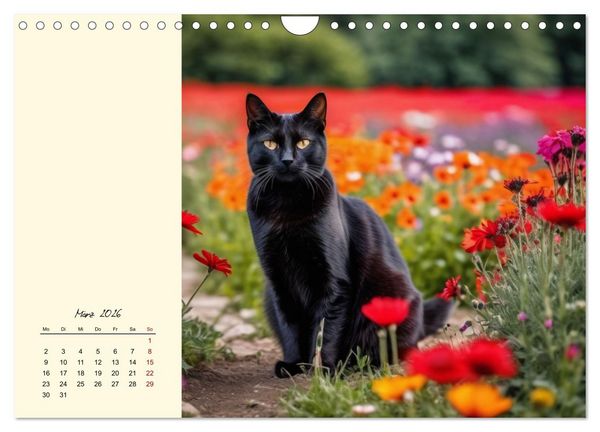 Produktbild: Samtpfoten im Bl&uuml;tenmeer (Wandkalender 2026 DIN A4 quer), CALVENDO Monatskalender