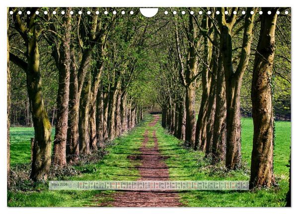 Produktbild: Wald im Bergischen Land 2026 (Wandkalender 2026 DIN A4 quer), CALVENDO Monatskalender