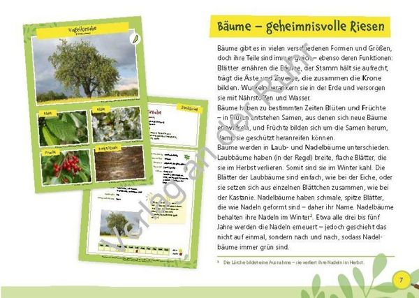 Produktbild: Paket: Heimische B&auml;ume