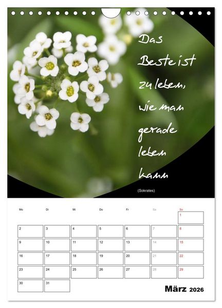 Produktbild: Spr&uuml;che und Weisheiten f&uuml;r&acute; s Jahr (Wandkalender 2026 DIN A4 hoch), CALVENDO Monatskalender