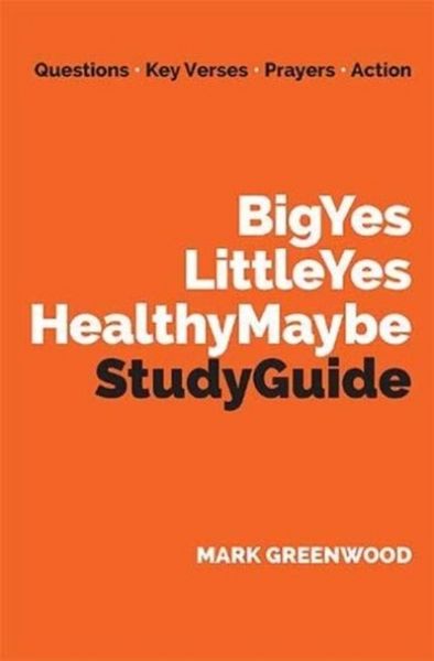 Produktbild: Big Yes Little Yes Healthy Maybe Study Guide