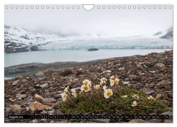 Produktbild: Spitzbergen - Arktische Impressionen (Wandkalender 2026 DIN A4 quer), CALVENDO Monatskalender