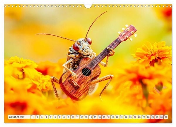 Produktbild: Konzert der Natur - Insekten spielen Musikinstrumente (Wandkalender 2026 DIN A3 quer), CALVENDO Monatskalender