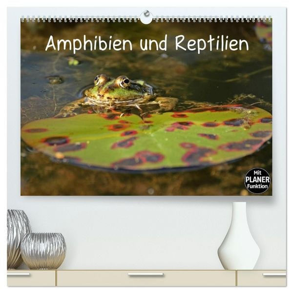 Produktbild: Amphibien und Reptilien (hochwertiger Premium Wandkalender 2026 DIN A2 quer), Kunstdruck in Hochglanz