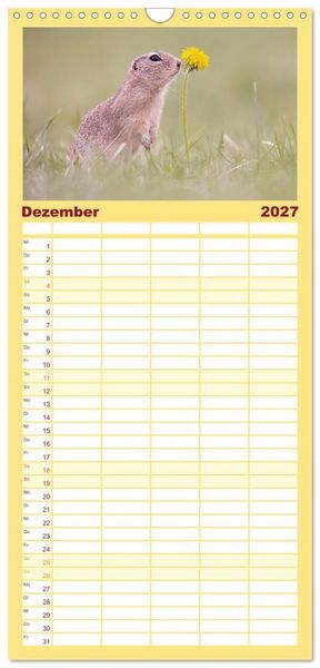 Produktbild: Familienplaner 2027 - Zauberhafte Ziesel mit 5 Spalten (Wandkalender, 21 x 45 cm) CALVENDO