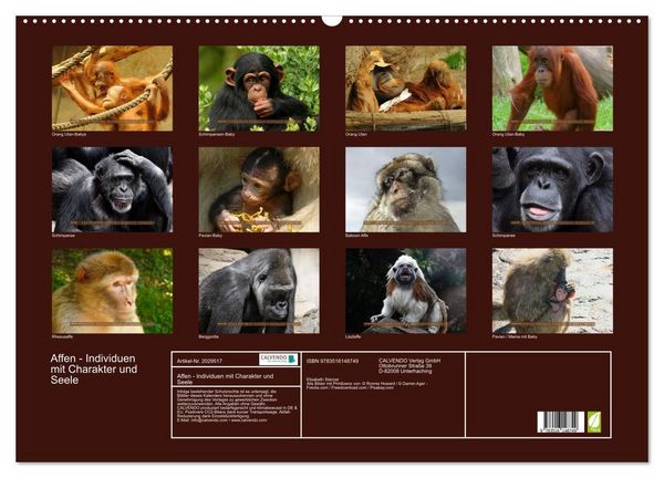 Produktbild: Affen - Individuen mit Charakter und Seele (Wandkalender 2026 DIN A2 quer), CALVENDO Monatskalender