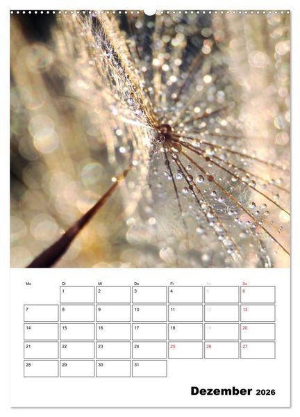 Produktbild: Zauberhafte Bl&uuml;tenwelt / Planer (Wandkalender 2026 DIN A2 hoch), CALVENDO Monatskalender