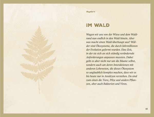 Produktbild: Waldgeheimnisse