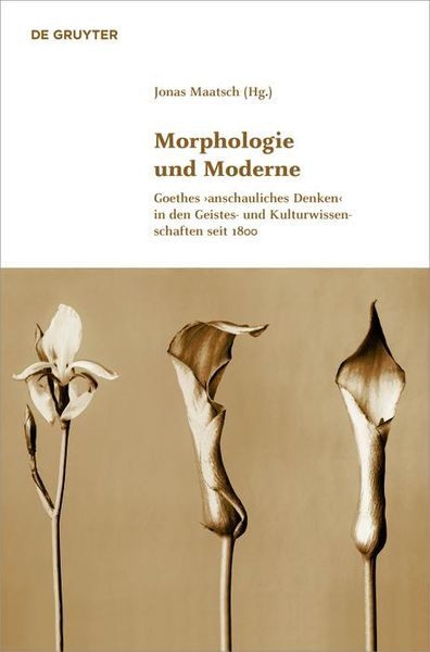 Produktbild: Morphologie und Moderne