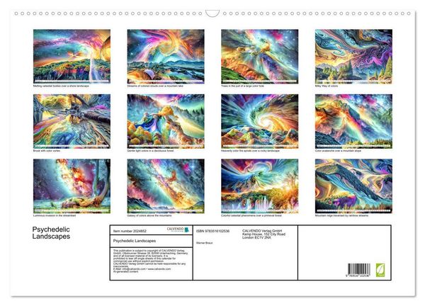 Produktbild: Braun, W: Psychedelic Landscapes (Wall Calendar 2026 DIN A2