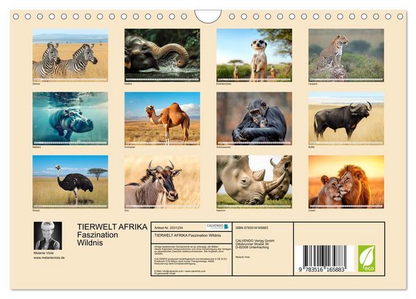 Produktbild: TIERWELT AFRIKA Faszination Wildnis (Wandkalender 2026 DIN A4 quer), CALVENDO Monatskalender