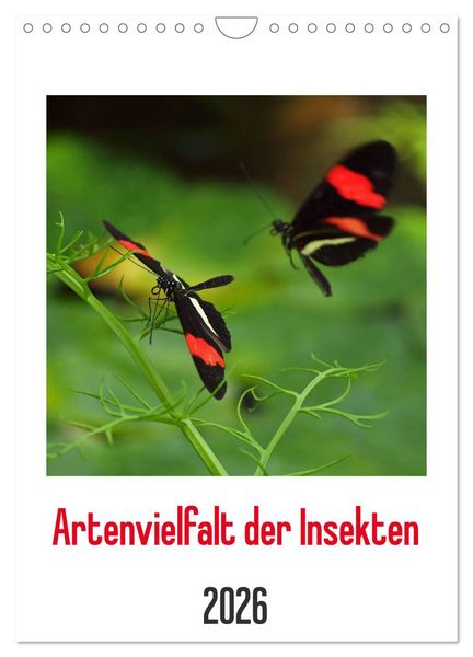 Produktbild: Artenvielfalt der Insekten (Wandkalender 2026 DIN A4 hoch), CALVENDO Monatskalender