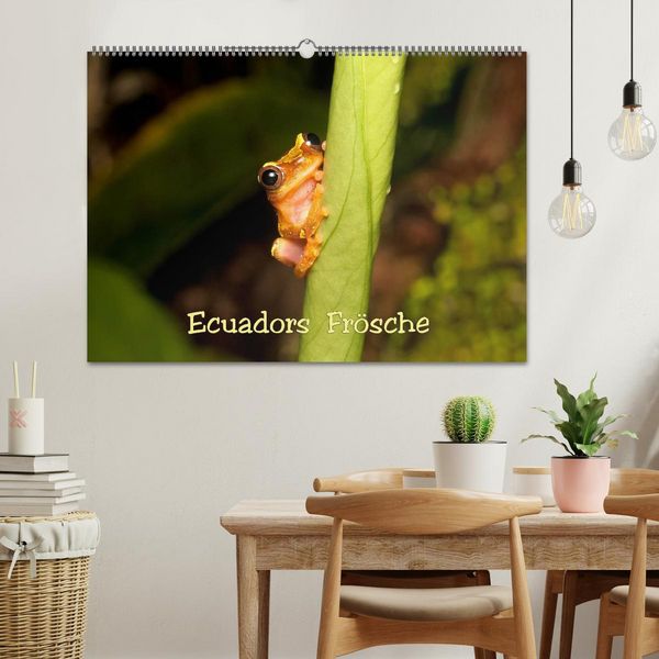 Produktbild: Ecuadors Fr&ouml;sche (Wandkalender 2026 DIN A2 quer), CALVENDO Monatskalender