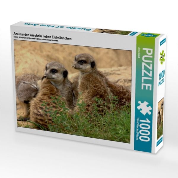 CALVENDO Puzzle Aneinander kuscheln lieben Erdmännchen | 1000 Teile Lege-Größe 64x48cm Foto-Puzzle für glückliche Stunden
