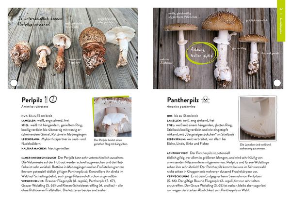 Produktbild: Nature Guide Pilze