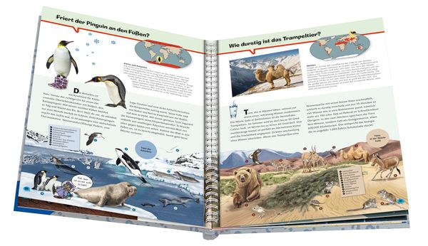 Wieso? Weshalb? Warum? ProfiWissen, Band 3: Tiere