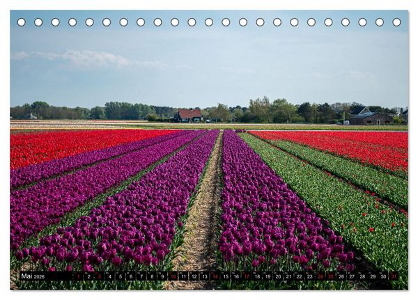 Produktbild: Egmond aan Zee - Nat&uuml;rlich (Tischkalender 2026 DIN A5 quer), CALVENDO Monatskalender