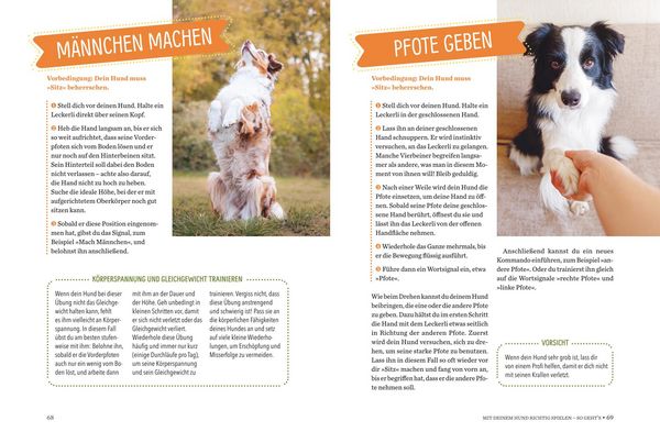 Produktbild: Spielerische Hundeerziehung