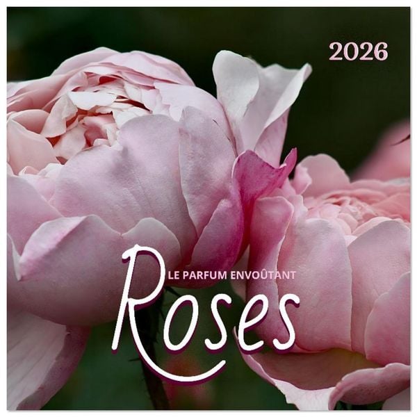 Produktbild: LE PARFUM ENVO&Ucirc;TANT DES ROSES (Calendrier mural carr&eacute; 2026 30x30 cm) Calendrier double avec une page pour vos prises de notes