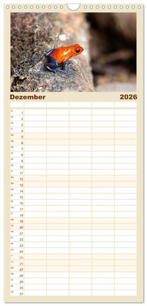 Produktbild: Familienplaner 2026 - Fr&ouml;sche - Die wundersch&ouml;ne Welt der bunten H&uuml;pfer. mit 5 Spalten (Wandkalender, 21 x 45 cm) CALVENDO