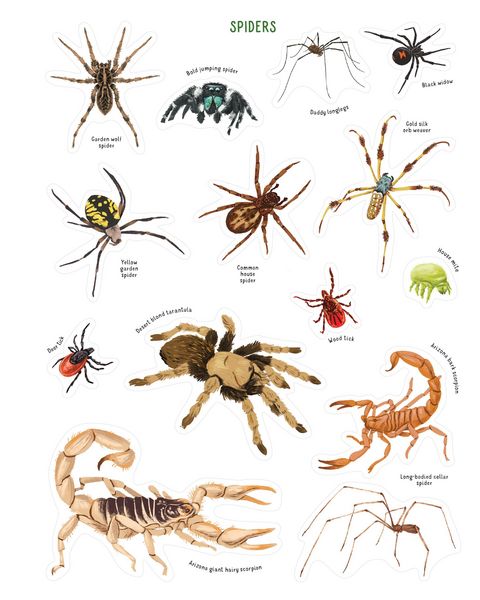 Produktbild: Backpack Explorer Stickers: Bug Adventure