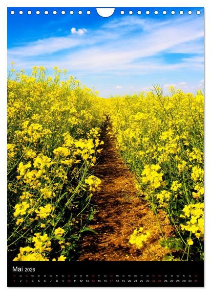 Produktbild: Landschaften (Wandkalender 2026 DIN A4 hoch), CALVENDO Monatskalender