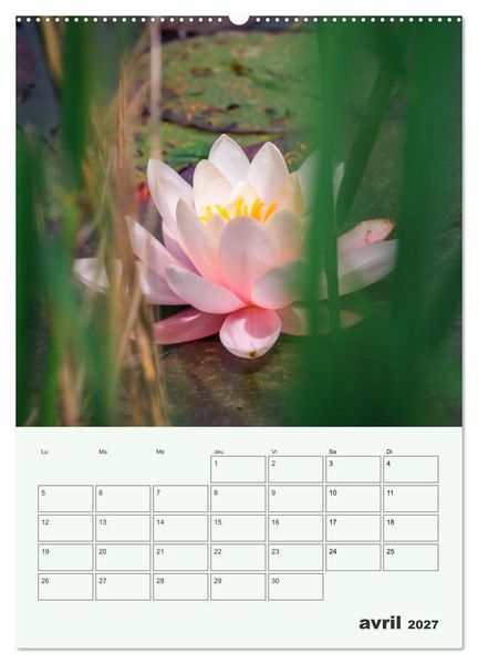 Produktbild: Les fleurs, &eacute;ternelles &eacute;phem&egrave;res (Calendrier mural 2027 DIN A2 horizontal), CALVENDO calendrier mensuel