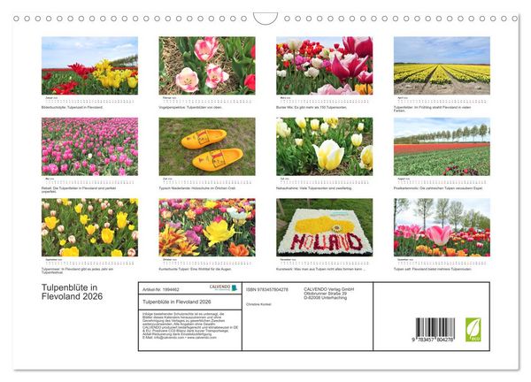 Produktbild: Tulpenbl&uuml;te in Flevoland 2026 (Wandkalender 2026 DIN A3 quer), CALVENDO Monatskalender