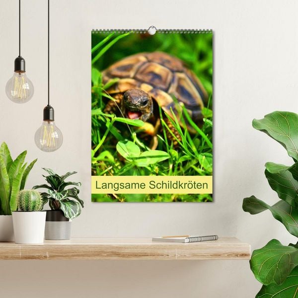 Produktbild: Langsame Schildkr&ouml;ten (Wandkalender 2026 DIN A3 hoch), CALVENDO Monatskalender