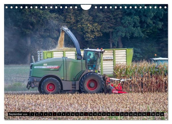 Produktbild: MAIS ERNTE (Wandkalender 2026 DIN A4 quer), CALVENDO Monatskalender