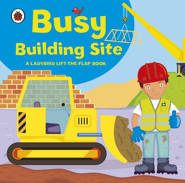 Produktbild: Ladybird lift-the-flap book