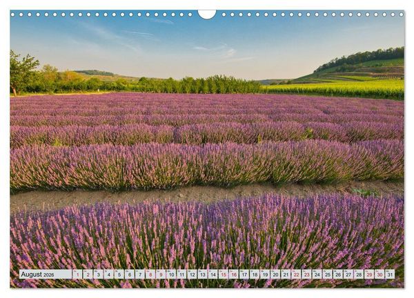 Produktbild: Weinregion Kaiserstuhl (Wandkalender 2026 DIN A3 quer), CALVENDO Monatskalender