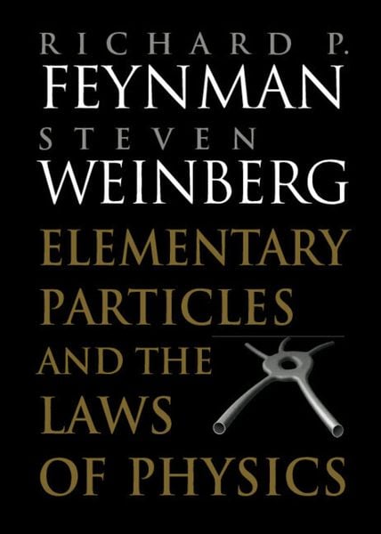 Produktbild: Elementary Particles and the Laws of Physics