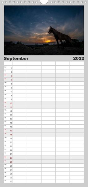 Familienplaner Belgische Schäferhunde - Der Malinois im Licht (Wandkalender 2022 , 21 cm x 45 cm, hoch)