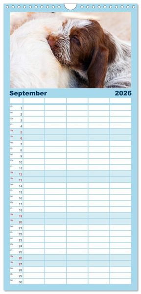 Produktbild: Familienplaner 2026 - Witzige Fellnasen mit 5 Spalten (Wandkalender, 21 x 45 cm) CALVENDO
