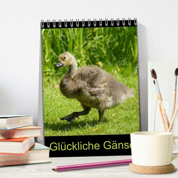Produktbild: Gl&uuml;ckliche G&auml;nse (Tischkalender 2026 DIN A5 hoch), CALVENDO Monatskalender