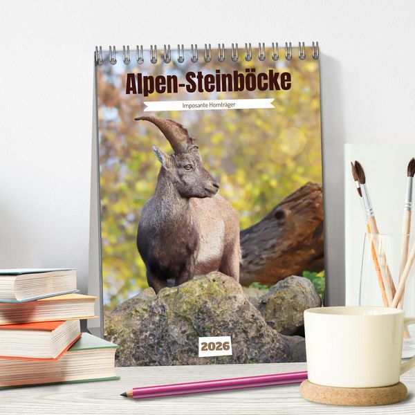 Produktbild: Alpen-Steinb&ouml;cke, imposante Horntr&auml;ger (Tischkalender 2026 DIN A5 hoch), CALVENDO Monatskalender