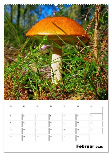 Produktbild: Heimische Waldpilze (Wandkalender 2026 DIN A2 hoch), CALVENDO Monatskalender