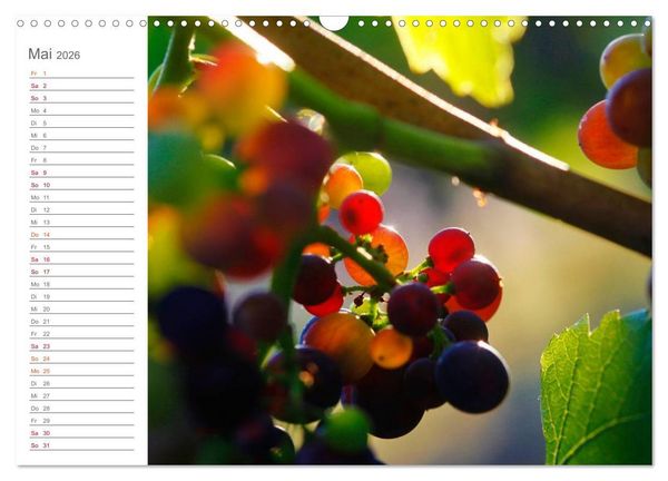 Produktbild: Wein (Wandkalender 2026 DIN A3 quer), CALVENDO Monatskalender
