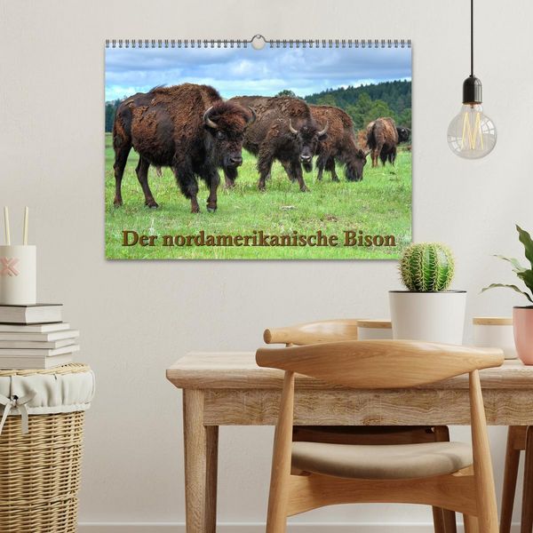 Produktbild: Der nordamerikanische Bison (Wandkalender 2026 DIN A3 quer), CALVENDO Monatskalender