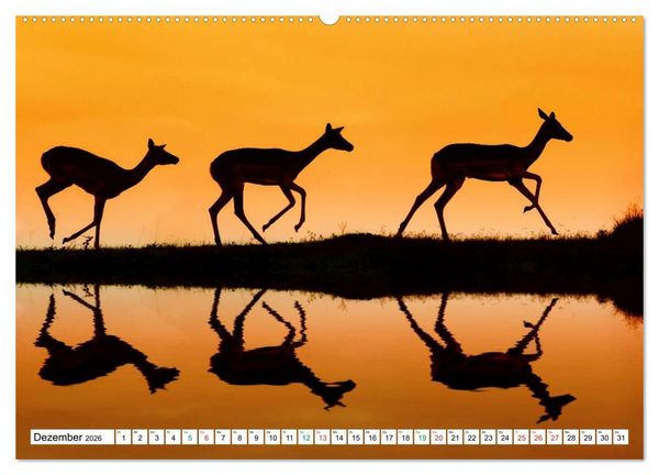 Produktbild: S&Uuml;DAFRIKA - Impressionen von der Garden Route (hochwertiger Premium Wandkalender 2026 DIN A2 quer), Kunstdruck in Hochglanz