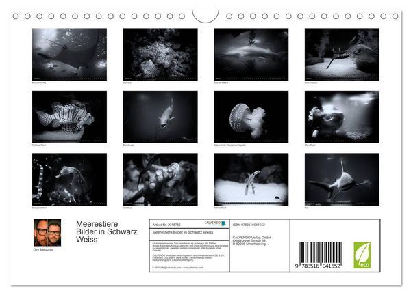 Produktbild: Meerestiere Bilder in Schwarz Weiss (Wandkalender 2026 DIN A4 quer), CALVENDO Monatskalender